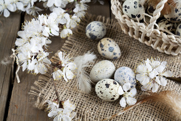 Fototapeta na wymiar Quail eggs, flowers and feather