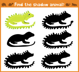 Cartoon vector illustration of education will find appropriate shadow silhouette animal iguana. Matching game for children of preschool age. Vector
