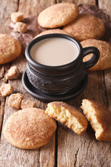 Tasty Snickerdoodle cookies and milk close-up on the table. Vertical
