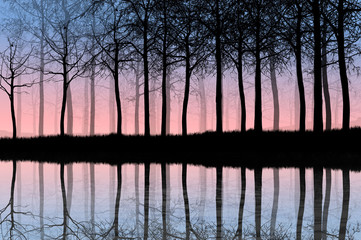 lake with forest at sunset