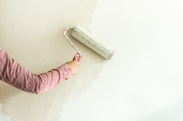 Painters colouring the wall with paint roller
