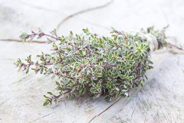 fresh thyme