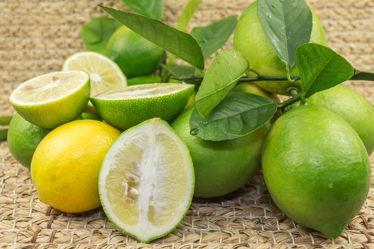 citrons verts