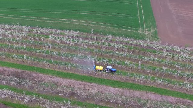 Cherry Tree Crop Spraying Germany