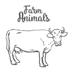 Vector sketch of a cow on a white background one isolated hoofed animal, farm cattle. Domestic cattle, linear illustration of a horned cow and dairy,