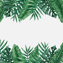 Palm tree leaves background template. Tropical greeting card.
