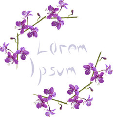 Fototapeta na wymiar Vector purple floral frame. Flower illustration