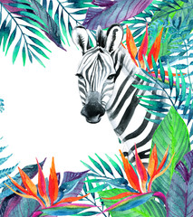 Fototapeta na wymiar Tropical jungle card. Floral design with zebra on white background.