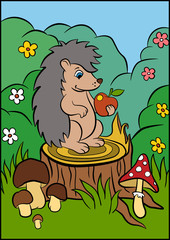 Color pictures: hedgehoges. Little cute hedgehog stands on the stump and holds an apple in the hand.