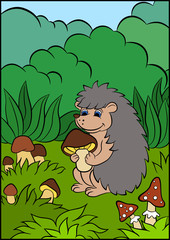 Color pictures: hedgehoges.Little cute hedgehog holds the mushroom in the hands.