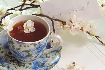 Tea, blossoming apricot twig