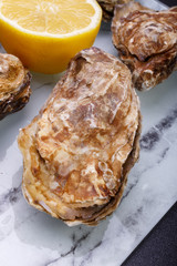 Oysters first size on the stone. fresh raw gourmet seafood