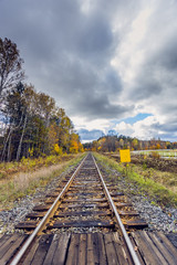 Fototapeta premium Railway Tracks in Remote Landscape Wilderness