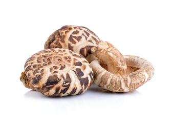 Shiitake mushroom on the White background