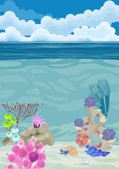 Fototapeta na wymiar underwater landscape background with different corals and Hermit Crab
