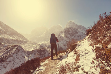 Fototapeta premium Hike in Himalayas