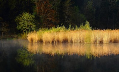 Moody nature on lake, reflection