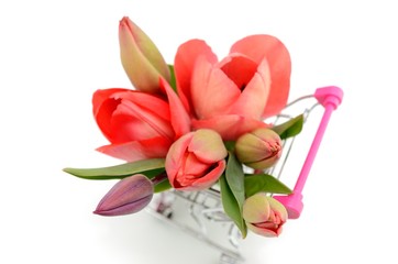 Fototapeta premium チューリップの花束