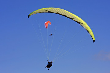paragliders
