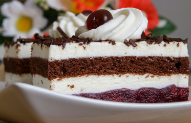 Schwarzwälder-Kirsch-Schnitten