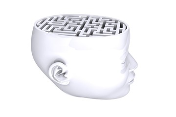 Maze as brain