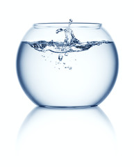 Splashing in empty fish bowl isolated on white background