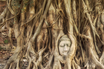 Obraz premium Head of Buddha statue in the tree roots at Wat Mahathat temple, Ayutthaya, Thailand. 