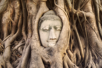 Head of Buddha statue in the tree roots at Wat Mahathat temple, Ayutthaya, Thailand. 