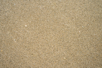 Fototapeta na wymiar sand background texture