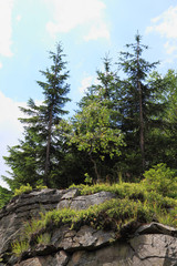jeseniky mountains nature