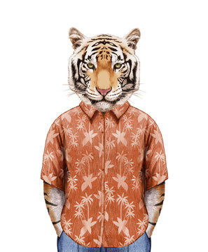 Portrait of Tiger in summer shirt. Hand-drawn illustration, digitally colored.