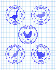 beautiful icons chicken turkey duck goose quail