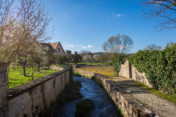 ruisseau de campagne