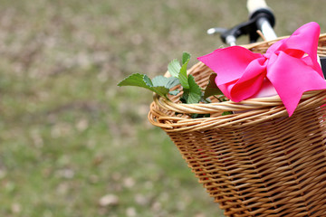 Fototapeta na wymiar Innovative delivery of unusual gifts/gift with pink ribbon and strawberry seedlings lies in a bicycle basket