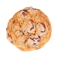 Single freshly baked, homemade chocolate and buterscotch oatmeal