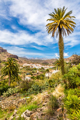 Fototapeta na wymiar Fataga Village In Barranco de Fataga-Gran Canaria