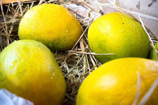 Alphonso mangoes packed in straw India
