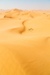 Fototapeta na wymiar in oman old outdoor sand dune