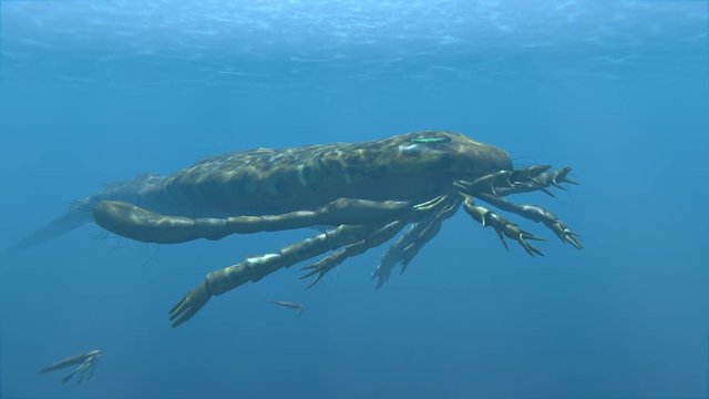 An animation of the large extinct Eurypterus and young in the sea. Eurypterids (Sea Scorpions) were giant arthropods existing from the mid Ordovician to late Permian (460 to 248 million years ago)