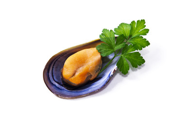 seafood, mussels isolated on white