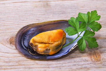 seafood, mussels on wooden background