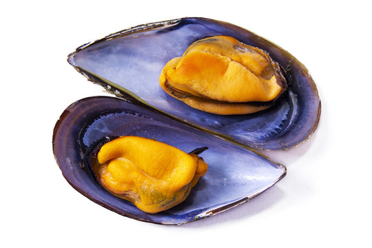 seafood, mussels isolated on white
