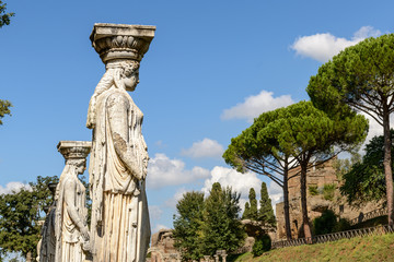Obraz premium Ancient ruins of Villa Adriana, Tivoli, Italy / Ancient ruins of Villa Adriana (Canopus, canal pool surrounded by columns and statues), Tivoli, Italy