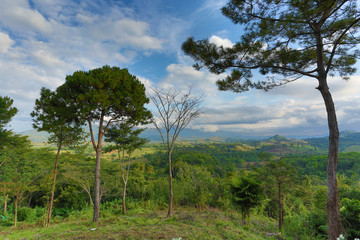 Obraz premium Landscape