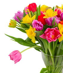 bouquet of   tulips and daffodils