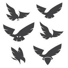 Set of black silhouettes of graceful flying eagles logo for labl