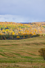 Fototapeta na wymiar scenic view of rural countryside