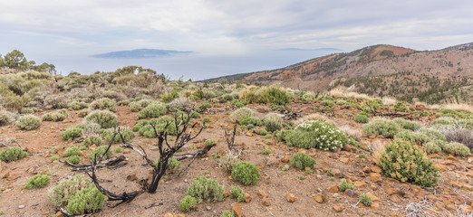 Острова в утреннем тумане