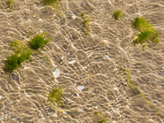 Pure clear sea water