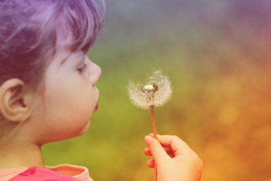 Little girl and dandelion